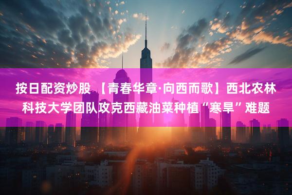 按日配资炒股 【青春华章·向西而歌】西北农林科技大学团队攻克西藏油菜种植“寒旱”难题